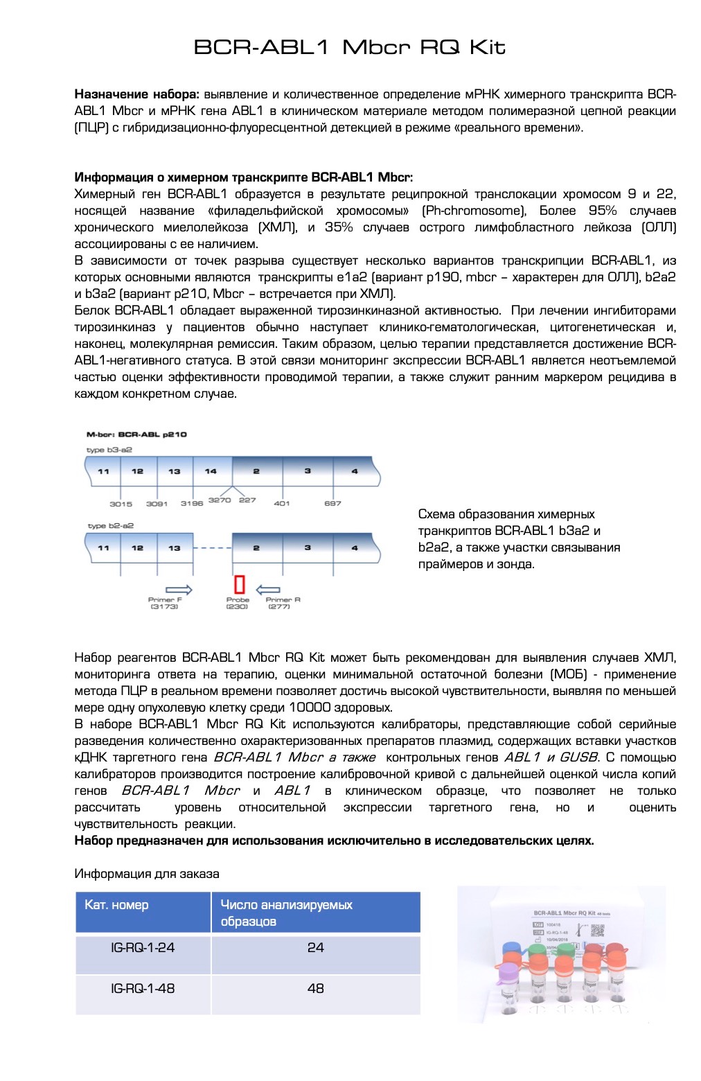 Буклет-печать А4_2