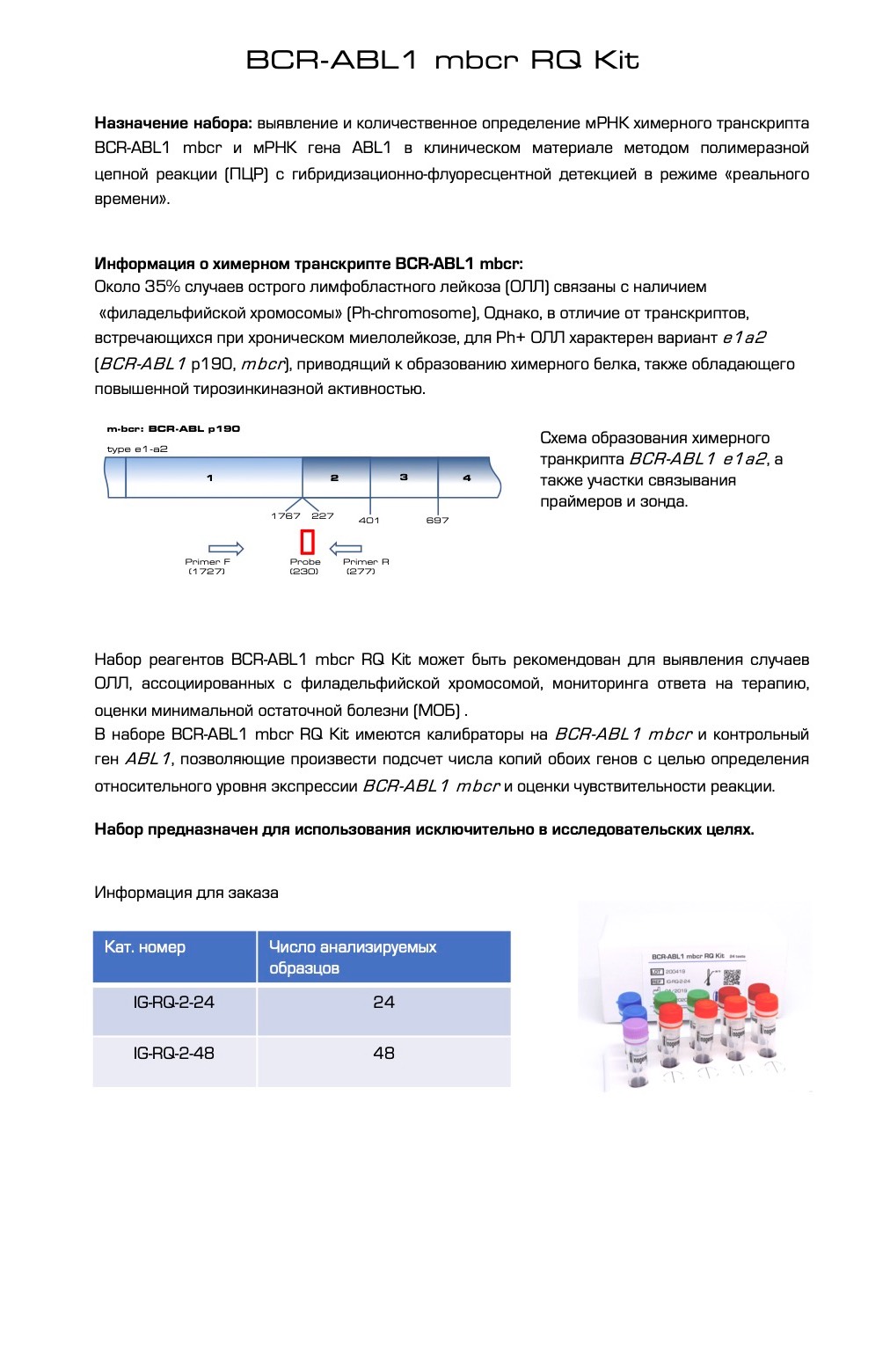 Буклет-печать А4_3